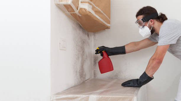 Professional Black Mold Remediation technician working in Wakefield, MI