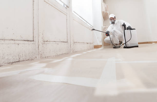 24/7 Emergency Black Mold Remediation experts in Wakefield, MI