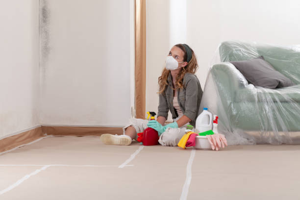 Reliable Black Mold Remediation contractor in Wakefield, MI by 24 Hour Mold Removal